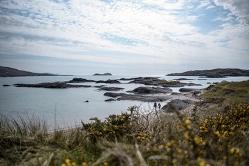 _DSC7488s