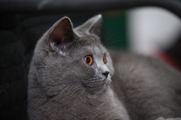 121089