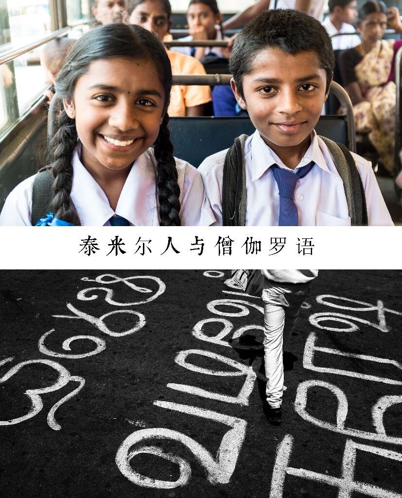 【Sri Lanka】哈普塔勒。兰卡中部大型泰米尔人聚集区，在这里，没有泰米尔猛虎组织危险的杀戮，也没有僧伽罗人与泰米尔人之间的分歧，这里只有两个种族间的和睦相处，老百姓安居乐业。兰卡人曾说，他们宁死都不想再要战争了。