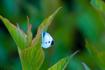 IMG_6463.jpg