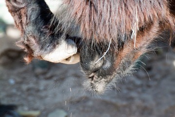 IMG_9575.jpg