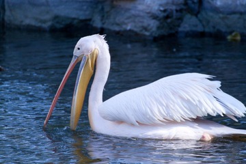 IMG_9326.jpg