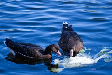 IMG_9343.jpg