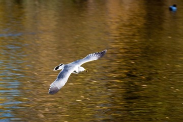 IMG_9358.jpg