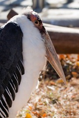 IMG_9399.jpg