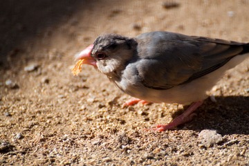 IMG_9403.jpg