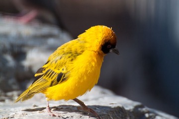 IMG_9412.jpg