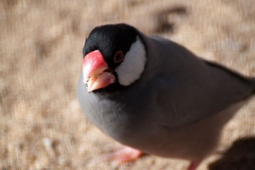 IMG_9413.jpg