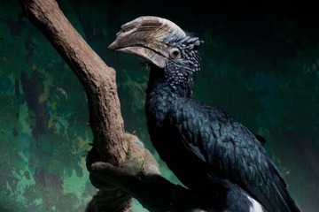 IMG_9452.jpg