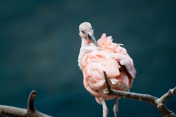 IMG_9480.jpg
