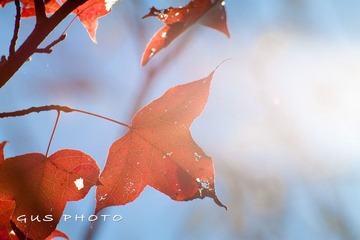 IMG_2664.jpg