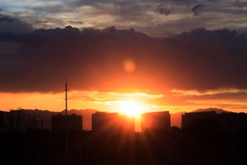 IMG_1486.jpg