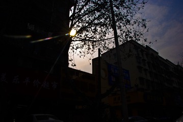 逆光002-1