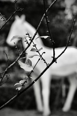 9F8610F0-62E9-4EF2-8C6E-2A1950CE91CD/L0/001