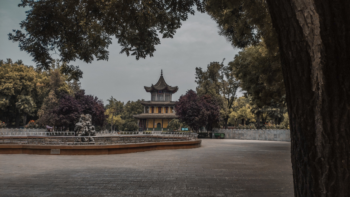 西安市革命公园一景