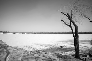 F533583F-804B-42AF-A2B4-3DE99CE1395F/L0/001