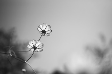 123590EF-7539-41C7-8762-82855836C0A8/L0/001