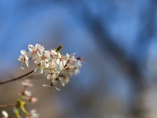 23107E50-B278-4DA5-B0E8-759ACAB05091/L0/001