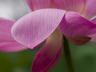 0FB28E93-13DD-4886-B042-5FF2F500DC6B/L0/001