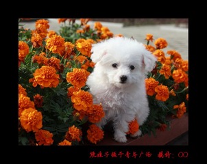 IMG_3282.1.jpg