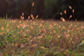 IMG_0186.JPG