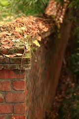 IMG_0164.JPG