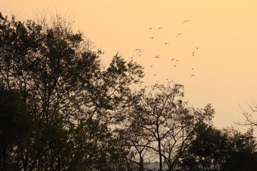 IMG_0234.JPG
