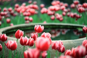 IMG_0776.JPG