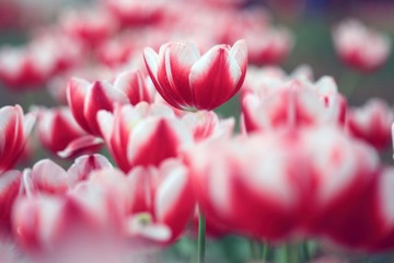 IMG_0838.JPG