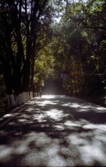IMG001-2