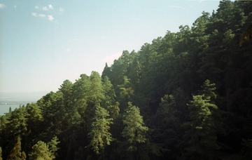 IMG003-2