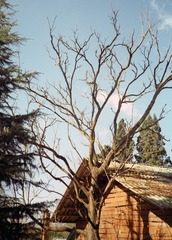 IMG020-2