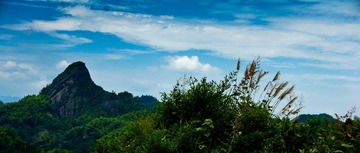 _DSC0291a (2)