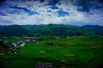 _DSC0360 (2)