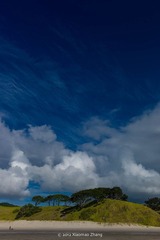 L1000375.jpg
