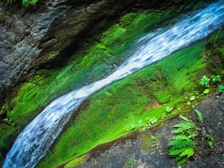 DSC04974-1.jpg