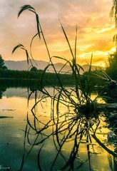 20120808258-1.jpg