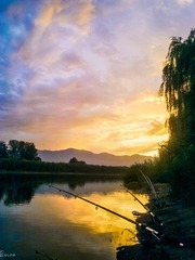 20120808259-1.jpg