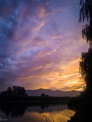 20120808260-1.jpg