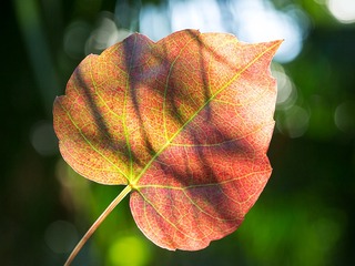 98