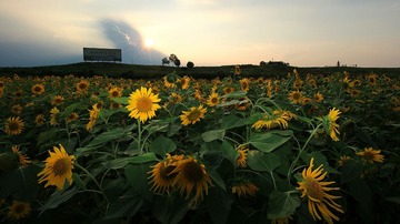 IMG_0121-1