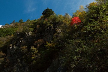 IMG_0758 拷贝