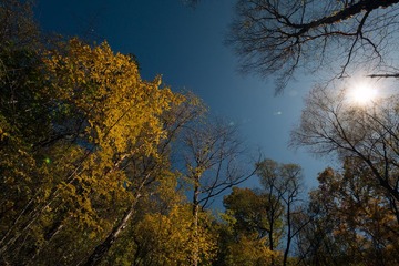 IMG_0833 拷贝