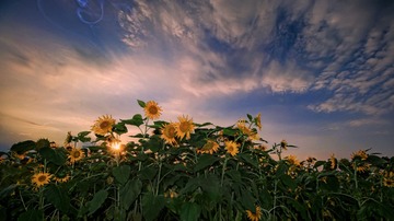 IMG_0119-1