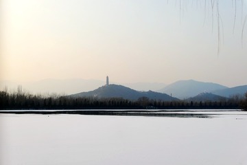 北京顺义国际鲜花港
