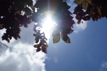 DSC04447.JPG