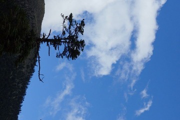 DSC04735.JPG