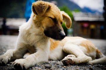 DSC05107_1.jpg