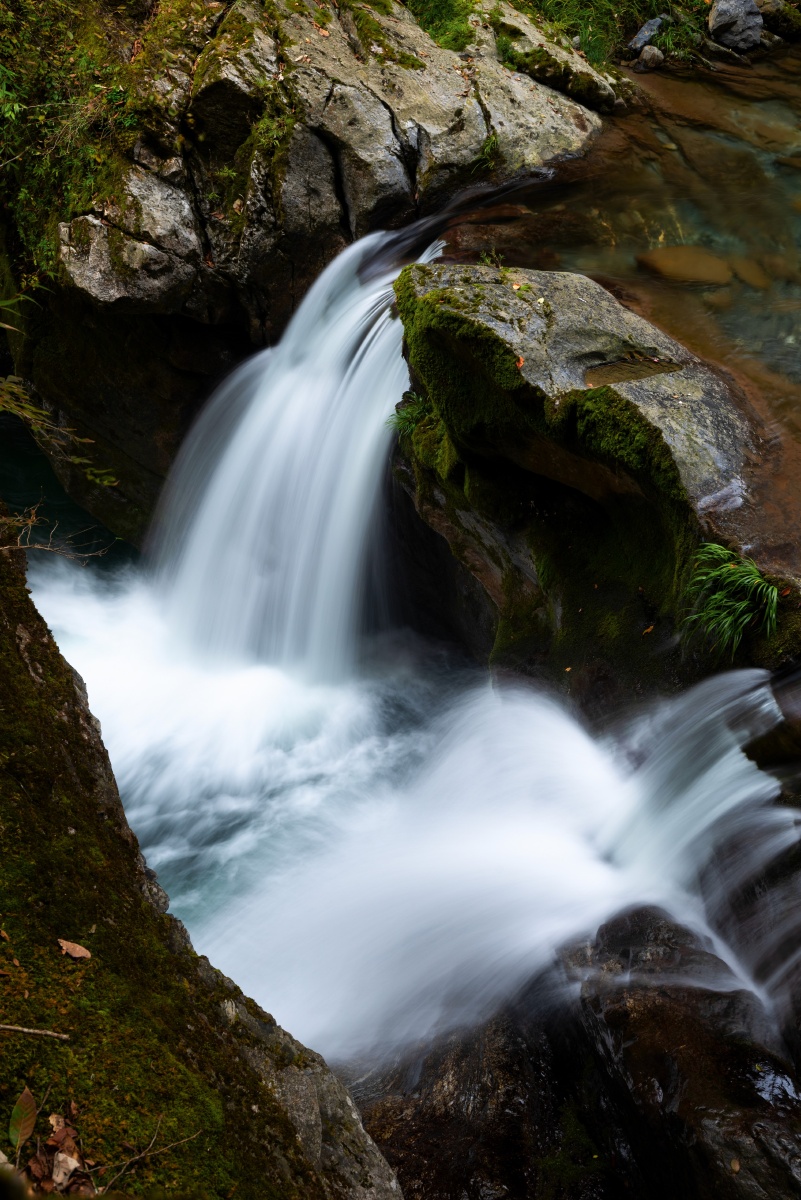安康岚皋千层河霜降