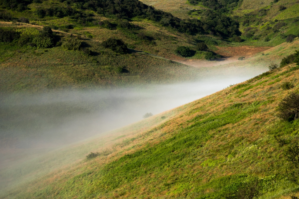 安康岚皋神田草原清晨的草原湛蓝的天空草原上的水洼里雾气弥漫
